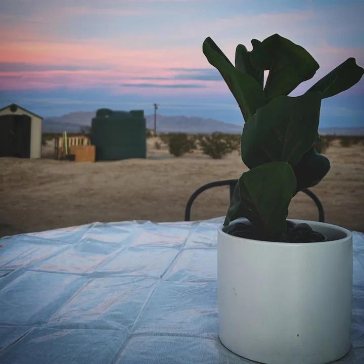 Serene Modern Home Backdoor With Great Wifi, Games, Movies, Patio Seating And Bbq Easy Access To North Joshua Tree National Park In 10 Minutes Twentynine Palms Luaran gambar